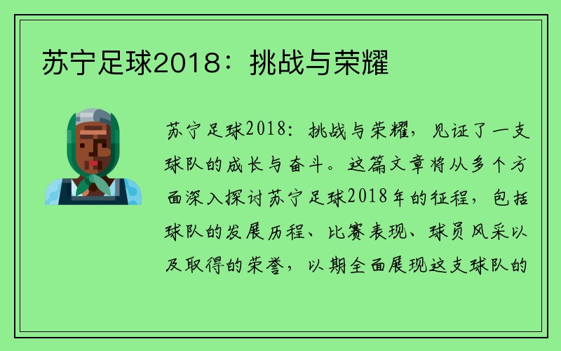 苏宁足球2018：挑战与荣耀