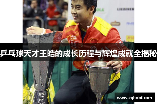 乒乓球天才王皓的成长历程与辉煌成就全揭秘